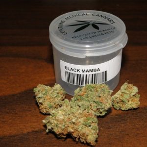 Buy Black Mamba marijuana strain Online Street Price fast delivery