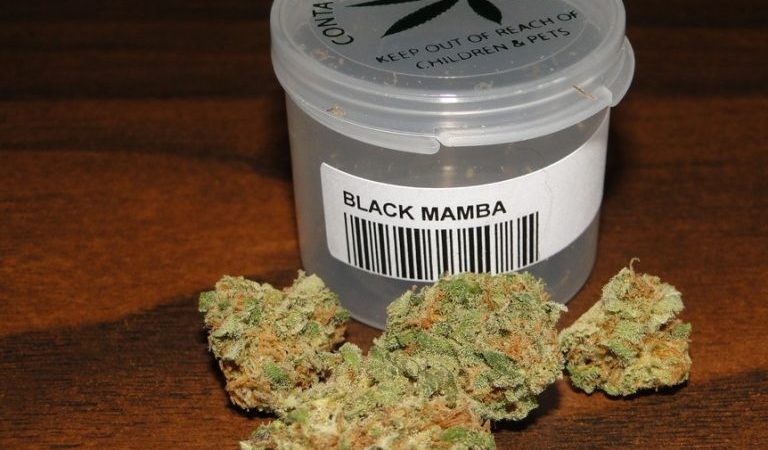 Buy Black Mamba marijuana strain Online Street Price fast delivery