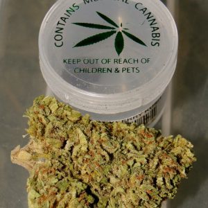 Buy Chocolope Bud (Sativa) Online Overnight Delivery In USA