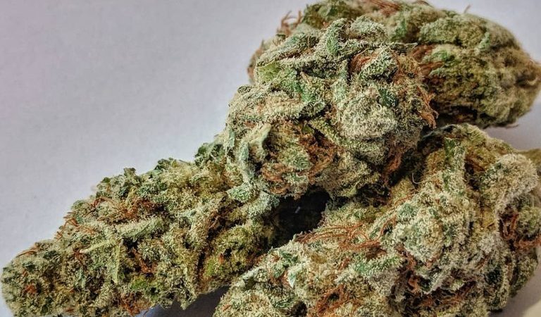 Buy Bruce Banner Strain Online world Safe Seamless Dispatch