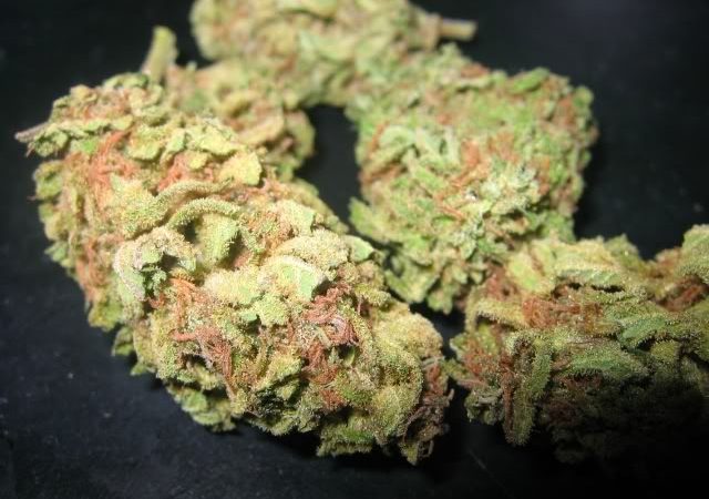 Purchase Afghan Kush Strain Online at Street Price Quick Shipping