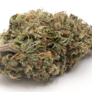 Buy Glue Gelato Auto Strain Online Quick And Safe Medication