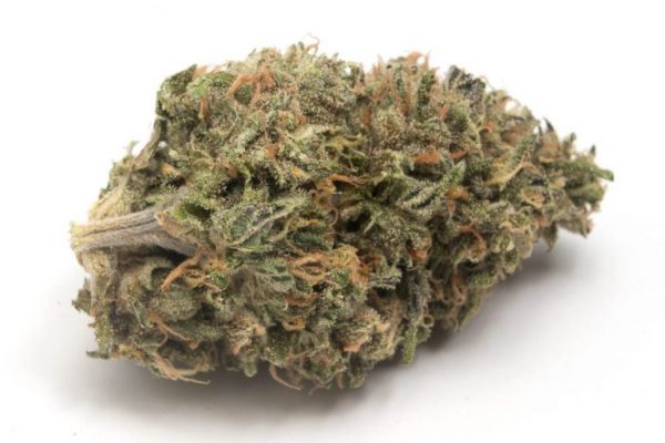 Buy Glue Gelato Auto Strain Online Quick And Safe Medication