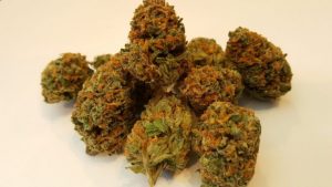 Buy Jedi Kush aka Cali Connection Online Payment from Bitcoin