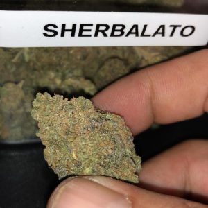 Buy Cali Sherblato Medicine Online From Medixway - Iowa USA